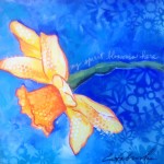 Donna Estabrooks - Daffodil