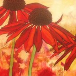 Donna Estabrooks - echinacea