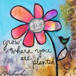 Donna Estabrooks - grow where you are planted