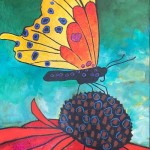 butterfly and echinacea
